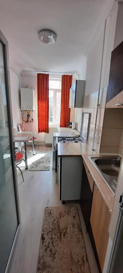 Apartament La Denis Bîrlad 外观 照片