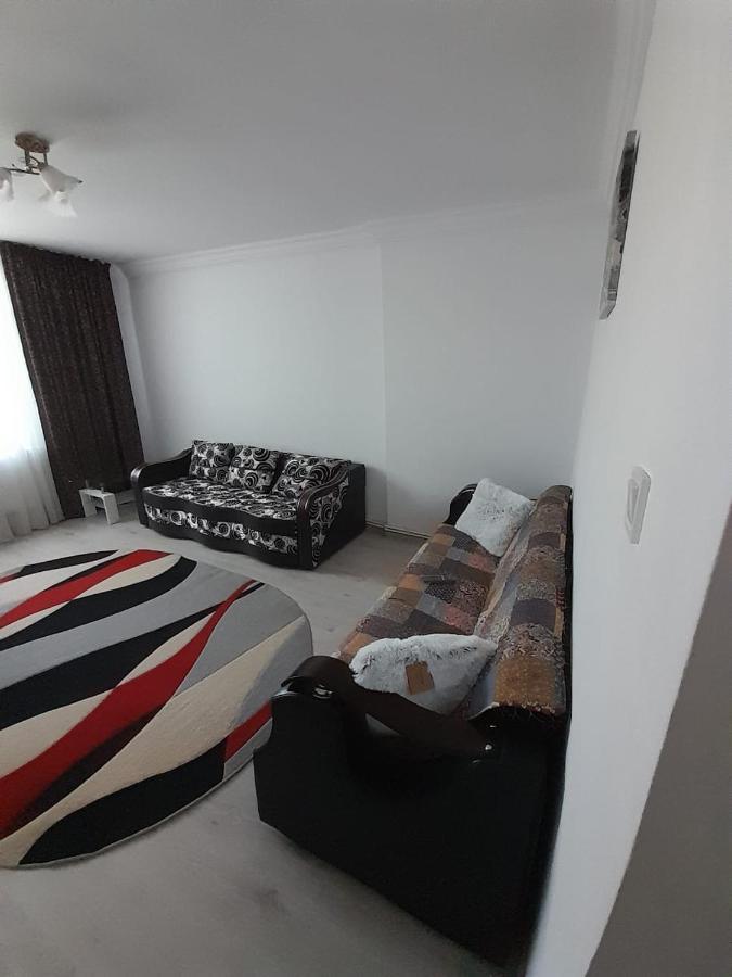 Apartament La Denis Bîrlad 外观 照片