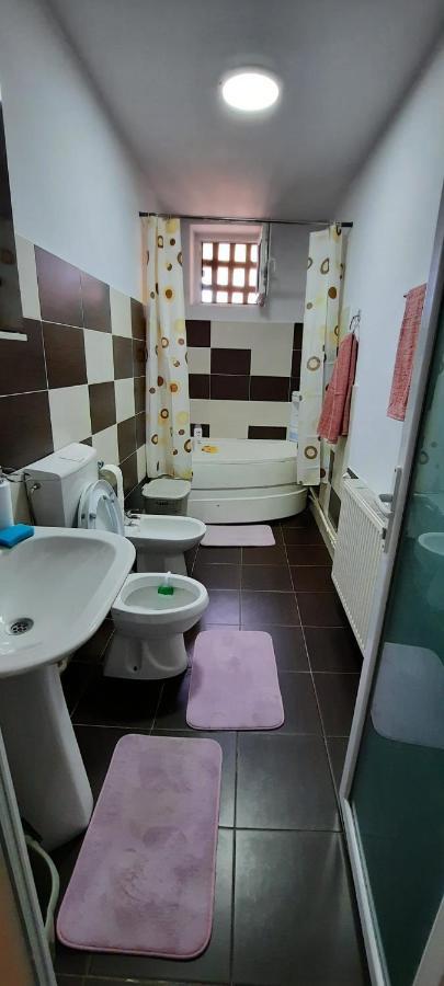 Apartament La Denis Bîrlad 外观 照片