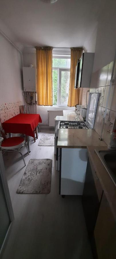Apartament La Denis Bîrlad 外观 照片