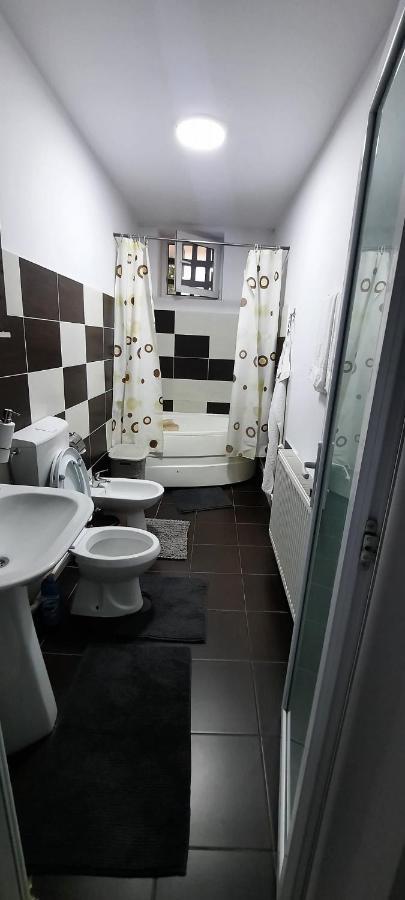 Apartament La Denis Bîrlad 外观 照片