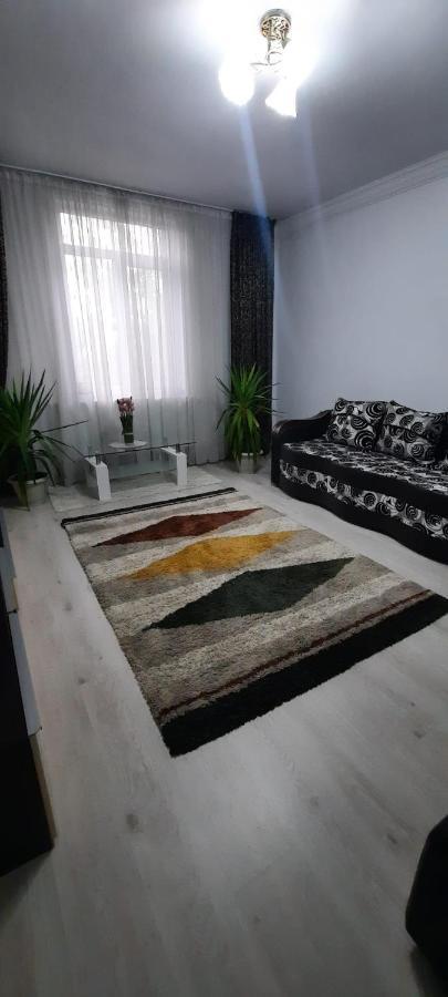 Apartament La Denis Bîrlad 外观 照片